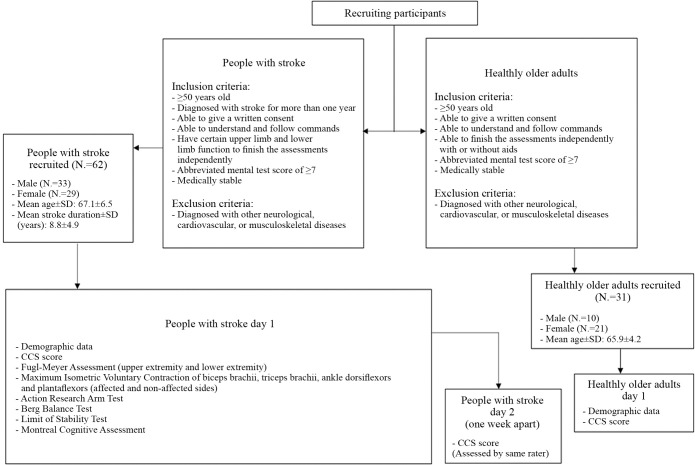 Psychometric validation of comprehensive coordination scale to assess the advanced coordination ability in people with stroke.