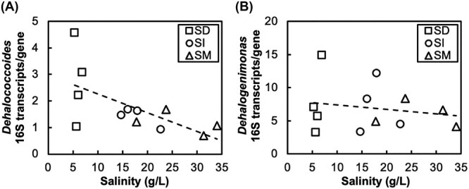 Genomic personalities of <i>Dehalococcoides</i> subspecies and <i>Dehalogenimonas</i> illuminate complete trichloroethene dechlorination in high-salt conditions.