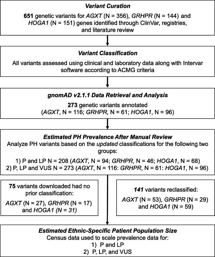 Global genetic prevalence estimates of primary hyperoxaluria are greater than previously reported.