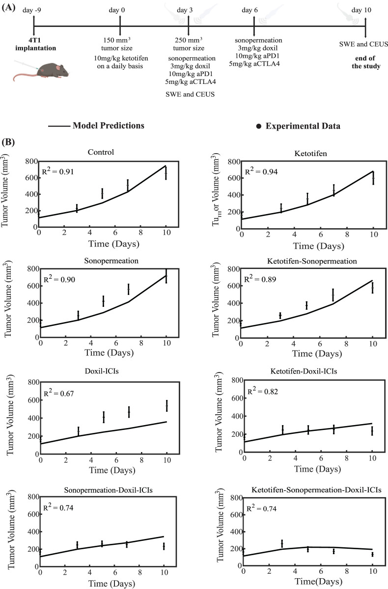Synergistic mechanotherapy and sonopermeation guided by mathematical modeling for solid tumor treatment.