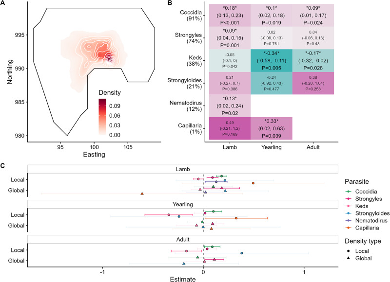 Local and global density have distinct and parasite-dependent effects on infection in wild sheep.