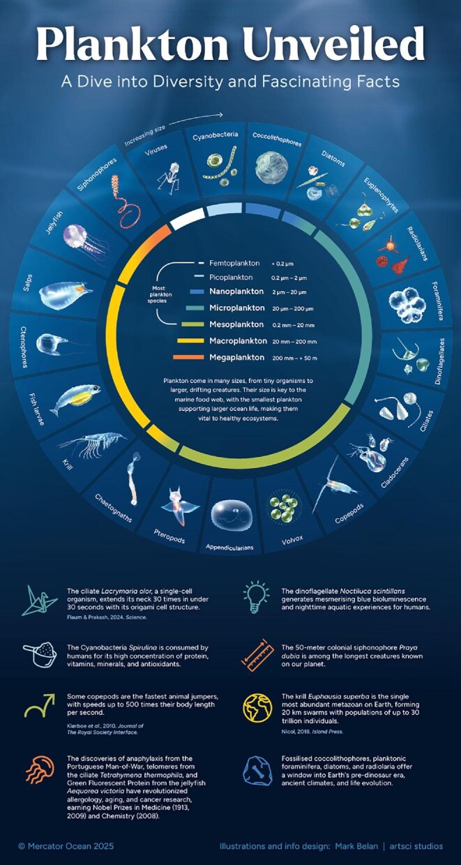 The immeasurable value of plankton to humanity.