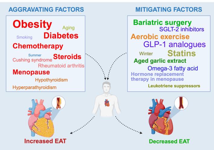 Fluctuations of epicardial adipose tissue and cardiovascular health: A useful biomarker? A comprehensive review.