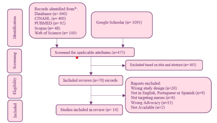 Exploring the Emergent Concept of Patient Advocacy in Acute and Perioperative Settings: A Scoping Review.