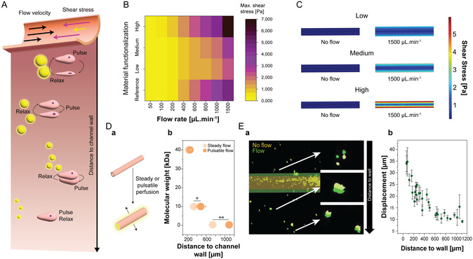 Mechanically Tunable Biofabricated Channels Enable Mimicking Arterial Pulsatility and Dynamic Tissue Actuation.