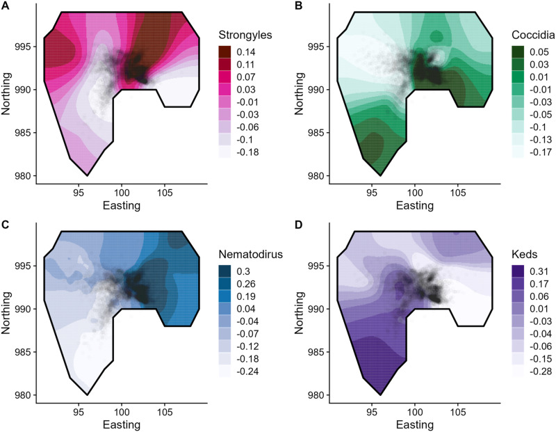 Local and global density have distinct and parasite-dependent effects on infection in wild sheep.