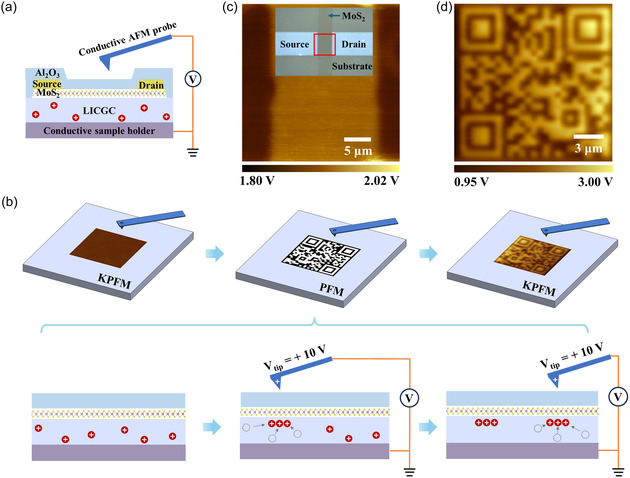 Air-Stable Lithiation of MoS<sub>2</sub> for Direct-Bandgap Multilayers.