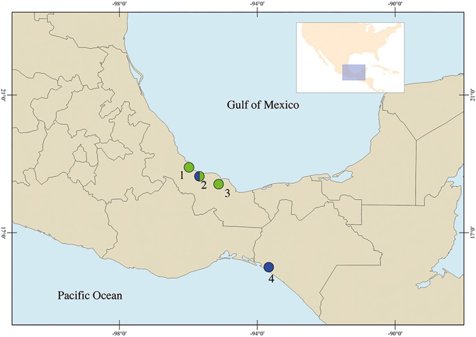 Diversity of <i>Stomylotrema</i> spp. in the Mexican tropical lowlands: the case of <i>Stomylotrema bijugum</i> and <i>Stomylotrema vicarium</i> (Digenea: Stomylotrematidae), parasites of aquatic and passerine birds.