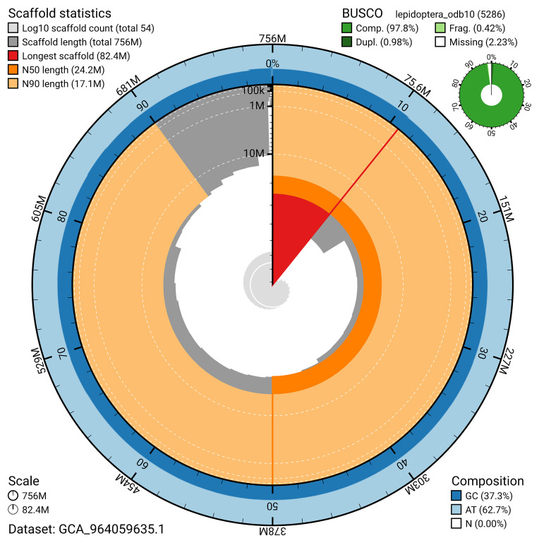 The genome sequence of the Brown Moss-moth, <i>Bryotropha terrella</i> (Denis & Schiffermüller), 1775.
