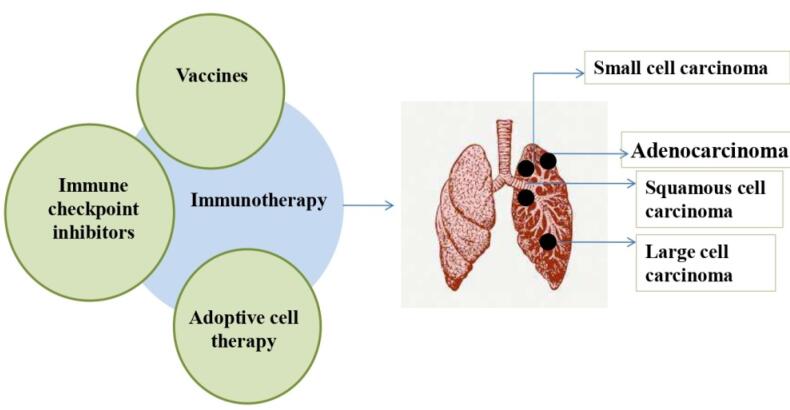 Lung Cancer Immunotherapy Approaches: From Clinical Testing to Future Advances.