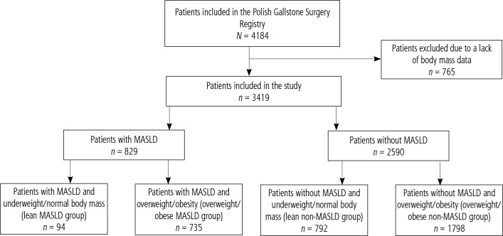 Clinical characteristics and risk factors of metabolic dysfunction-associated steatotic liver disease in lean patients: results of the Polish Gallstone Surgery Registry.