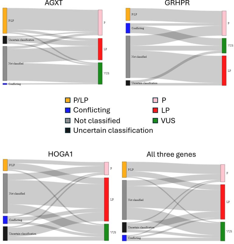 Global genetic prevalence estimates of primary hyperoxaluria are greater than previously reported.
