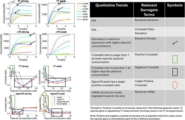 A mathematical model of cell-free transcription-translation with plasmid crosstalk.