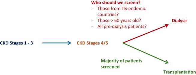 Screening for latent tuberculosis infection in patients with chronic kidney disease: a review of evidence and current practice in the UK.
