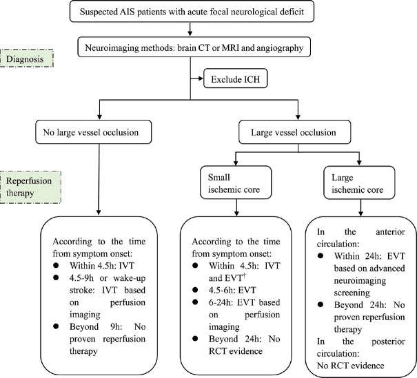 A narrative review of reperfusion therapy in acute ischemic stroke: Emerging advances, current challenges, and future directions.