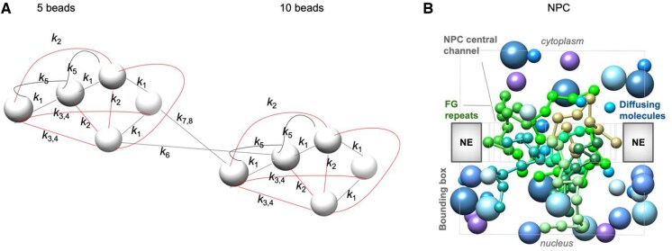 The TEMPO integrator: accelerating molecular simulations by temporally multiscale force prediction.