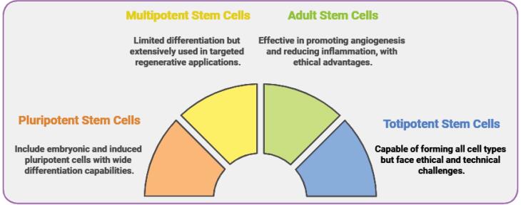 Free and encapsulated stem cells for skin regeneration.