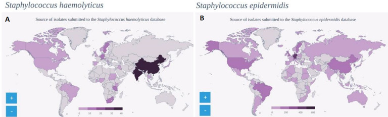 Multilocus sequence type analysis of coagulase-negative staphylococci from the neonatal intensive care unit of a teaching hospital in Ghana.