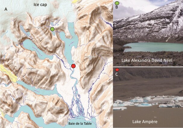 Response of marine microbes to iron contained in colloids of glacial origin: a Kerguelen Island case study.