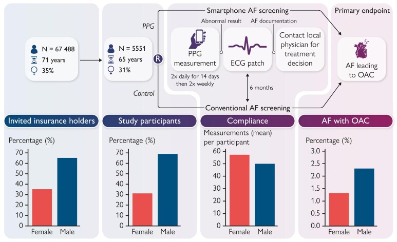 Gender specific aspects of digital screening for atrial fibrillation: insights from the randomized eBRAVE-AF trial.