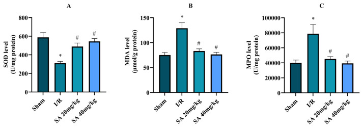 Sinapic acid alleviates renal ischemia-reperfusion injury by regulating oxidative stress, apoptosis, and inflammation.