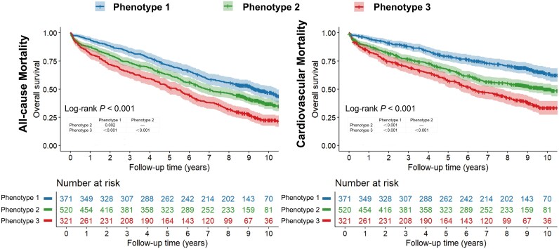 Identification of clinical phenotypes and heterogeneous treatment effects of surgical revascularization in ischaemic cardiomyopathy: a machine learning consensus clustering analysis.