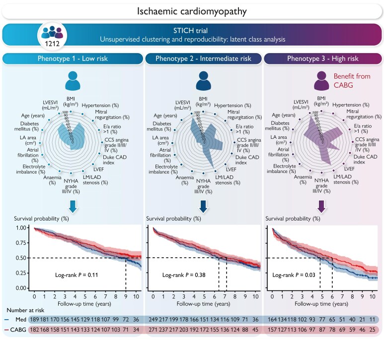Identification of clinical phenotypes and heterogeneous treatment effects of surgical revascularization in ischaemic cardiomyopathy: a machine learning consensus clustering analysis.