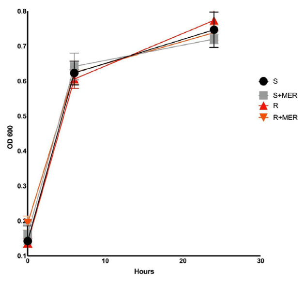 Metabolic and genotypic characterization of meropenem-susceptible and meropenem-resistant <i>Serratia marcescens</i> isolates.