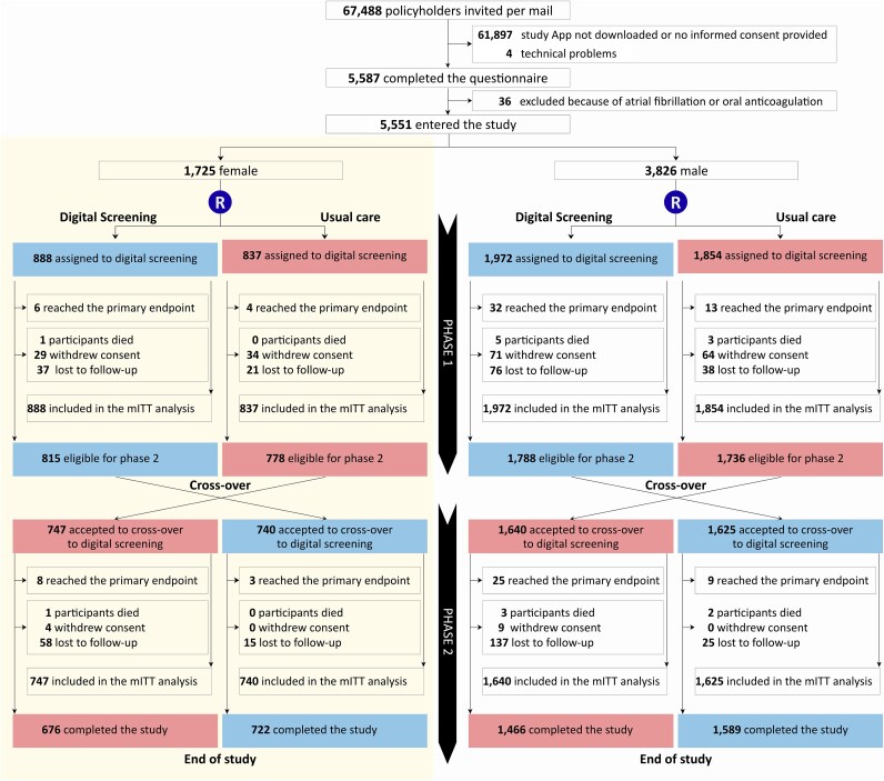 Gender specific aspects of digital screening for atrial fibrillation: insights from the randomized eBRAVE-AF trial.