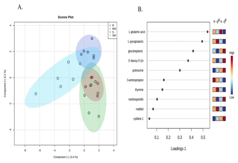 Metabolic and genotypic characterization of meropenem-susceptible and meropenem-resistant <i>Serratia marcescens</i> isolates.