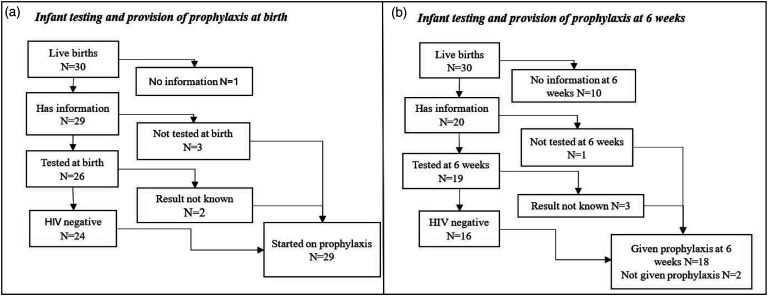 Incidence of and outcomes of pregnancy in adolescents with perinatally-acquired HIV infection in Southern Africa.