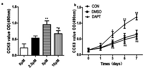 Effects of Notch signaling on proliferation, angiogenesis, and adipogenesis of hemangioma-derived stem cells.