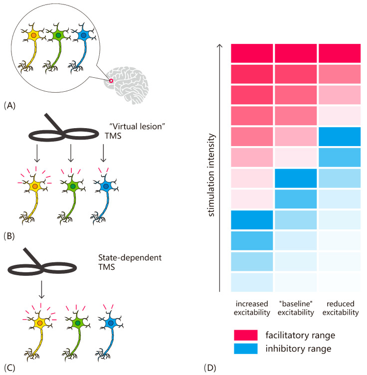 State-Dependent Brain Stimulation for Visual Neurorehabilitation: Principles and Applications.