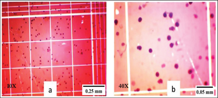 Dietary nucleotides supplementation enhances the growth and immune responses of the giant freshwater prawn, <i>Macrobrachium rosenbergii</i> (De Man, 1879).