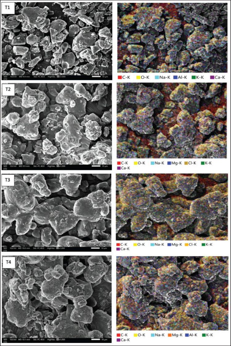 The effectiveness of Sumbawa fermented mare's milk powder with gum arabic [<i>Acacia senegal</i> (L.) Willd] microencapsulant as a modified traditional healthy food.