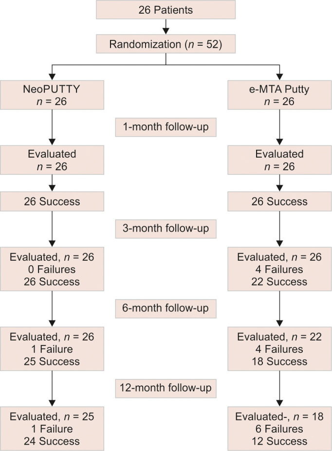 Comparison of Two New Calcium Silicate-based Cements in Indirect Pulp Therapy in Primary Molar Teeth: Clinical Evaluative Study.