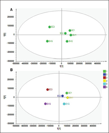 Metabolomic profiles of the silage digested in ruminal fermentation differentiated by various solvent extraction.