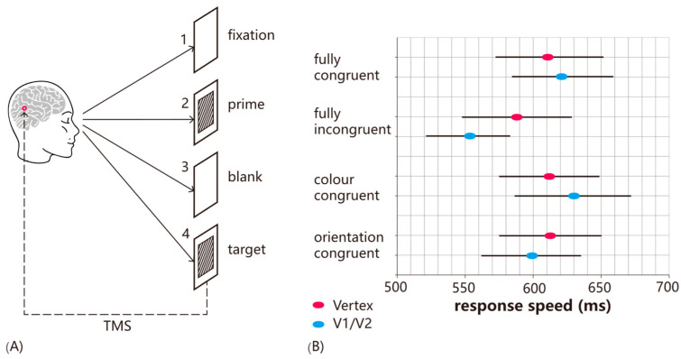 State-Dependent Brain Stimulation for Visual Neurorehabilitation: Principles and Applications.