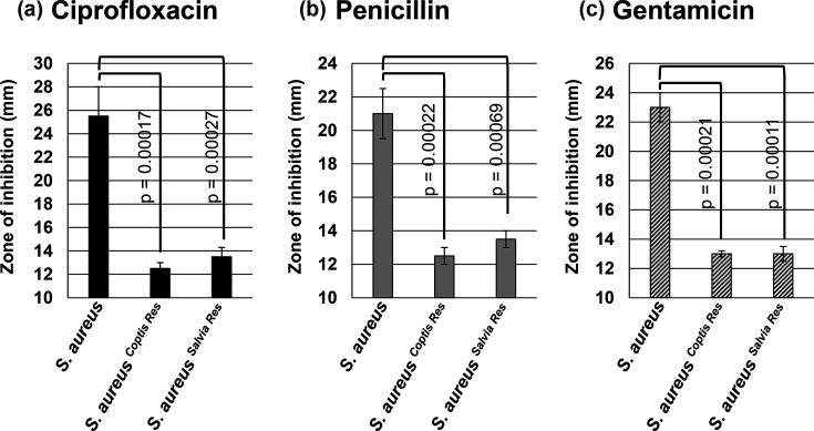 Topoisomerase inhibitory activity of ethanolic extracts from botanicals <i>Coptis chinensis</i> and <i>Salvia officinalis</i>.