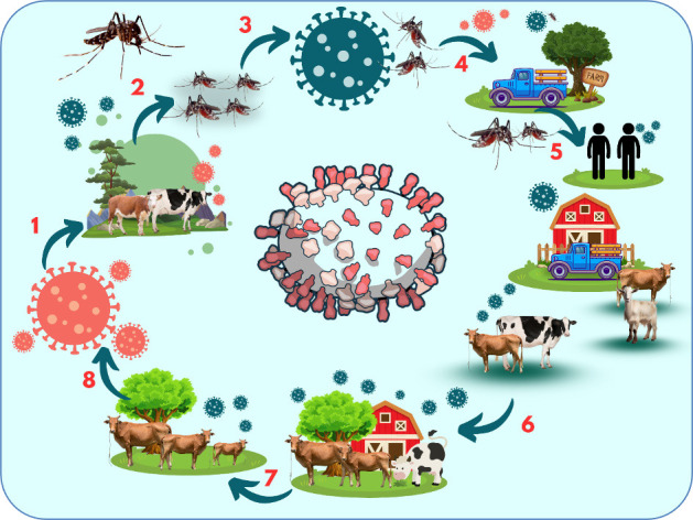 Rift Valley fever: A zoonotic disease with global potential.