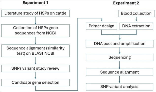 Genetic variation in the bovine heat shock protein gene in Indonesian Bali cattle (<i>Bos javanicus</i>): A marker candidate for heat stress tolerance trait.