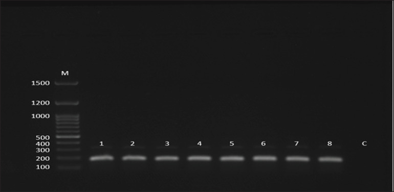 Molecular detection of canine parainfluenza virus-5 in dogs in Baghdad province, Iraq.