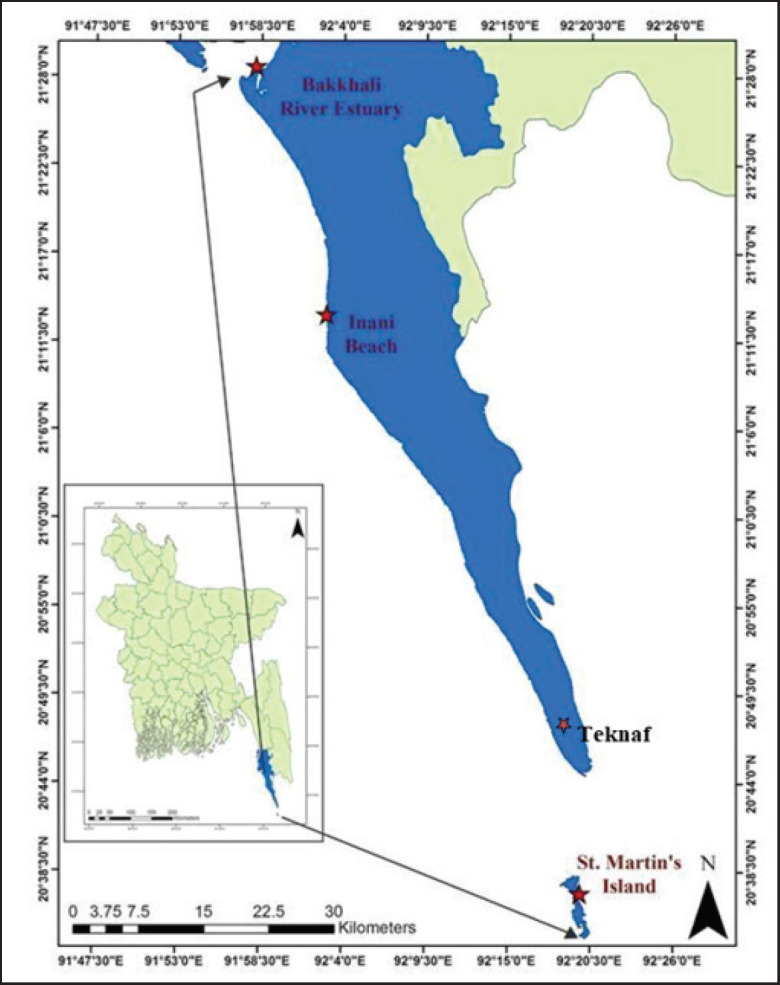Occurrences, distributions, and bioactive compounds of marine seaweeds in the southeast coasts of Bangladesh.