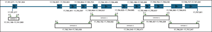 Genetic variation in the bovine heat shock protein gene in Indonesian Bali cattle (<i>Bos javanicus</i>): A marker candidate for heat stress tolerance trait.