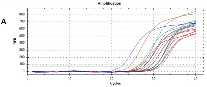 Molecular detection of canine parainfluenza virus-5 in dogs in Baghdad province, Iraq.