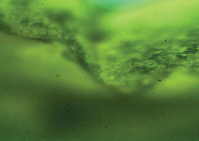 Abstract Image