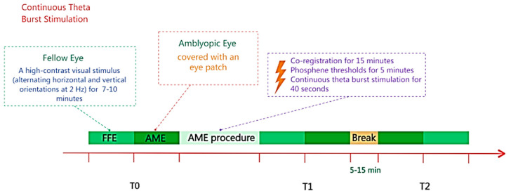 State-Dependent Brain Stimulation for Visual Neurorehabilitation: Principles and Applications.