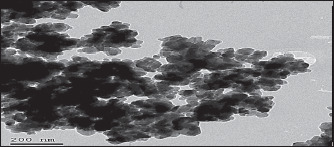 A new Egyptian approach to the antibacterial effect of zinc oxide nanoparticles on zoonotic bacteria with different transmission patterns isolated from cattle.