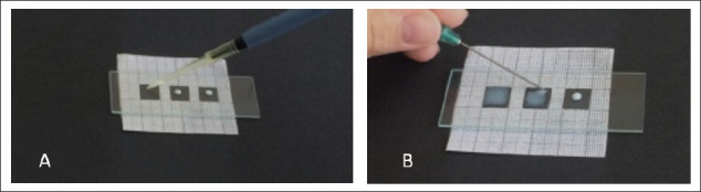 Chloride content in goat milk as a diagnostic marker for subclinical mastitis.