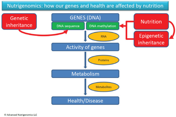 Nutrigenomics: A tool to unlock genetic potential of Nigerian indigenous goat breeds.